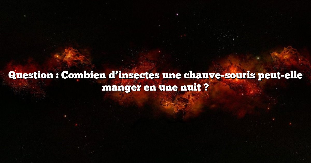Question : Combien d’insectes une chauve-souris peut-elle manger en une nuit ?